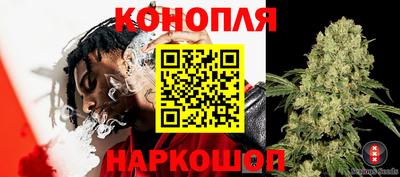 гидропоника Ставрополь