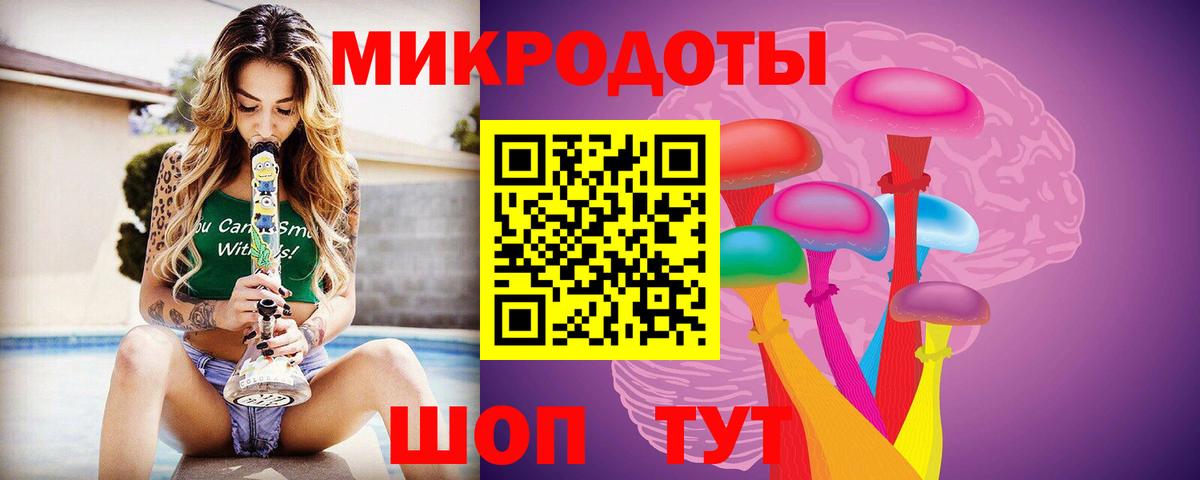 Псилоцибиновые грибы Psilocybe Белореченск